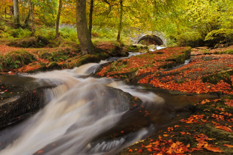 Cloughleagh West Wicklow lower river
