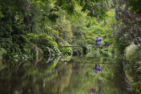 Summer in Mount Usher